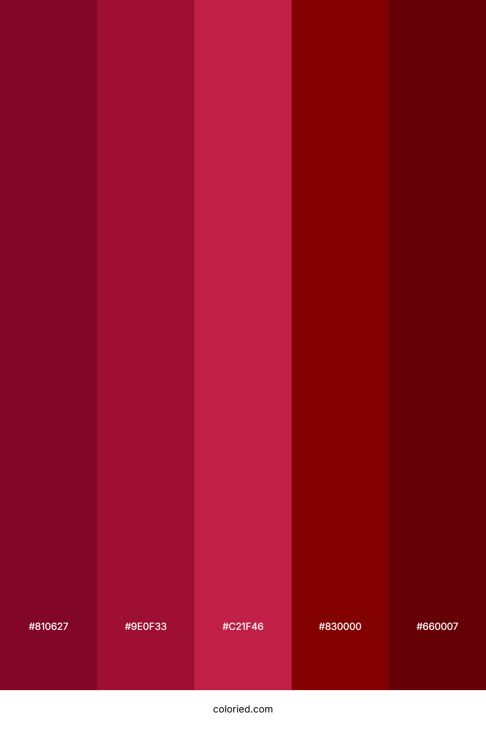 Burgundy Maroon Velvet Color Palette