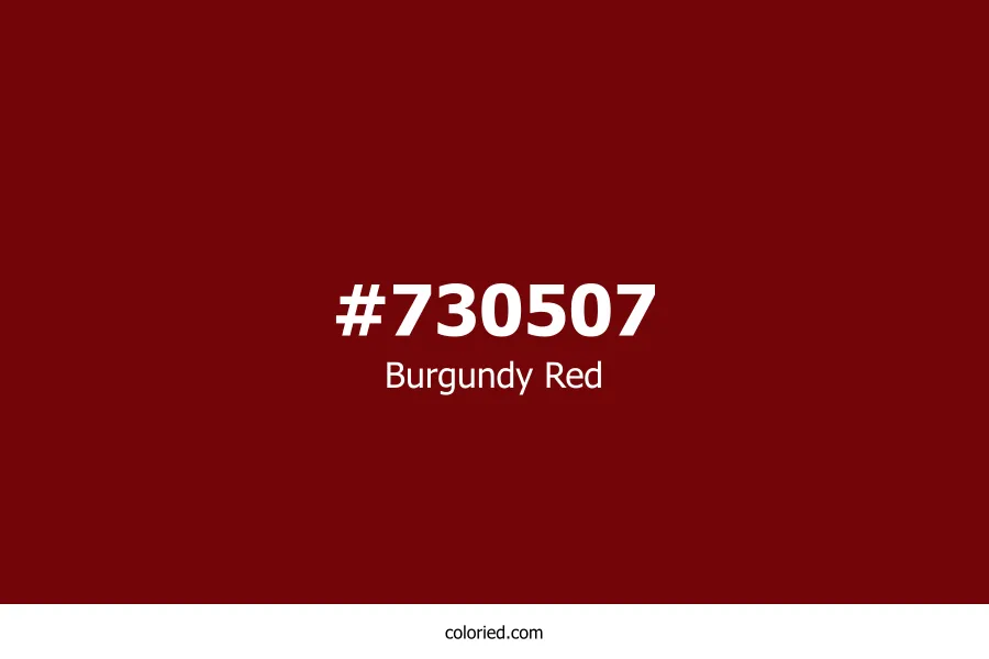 Burgundy Red Color