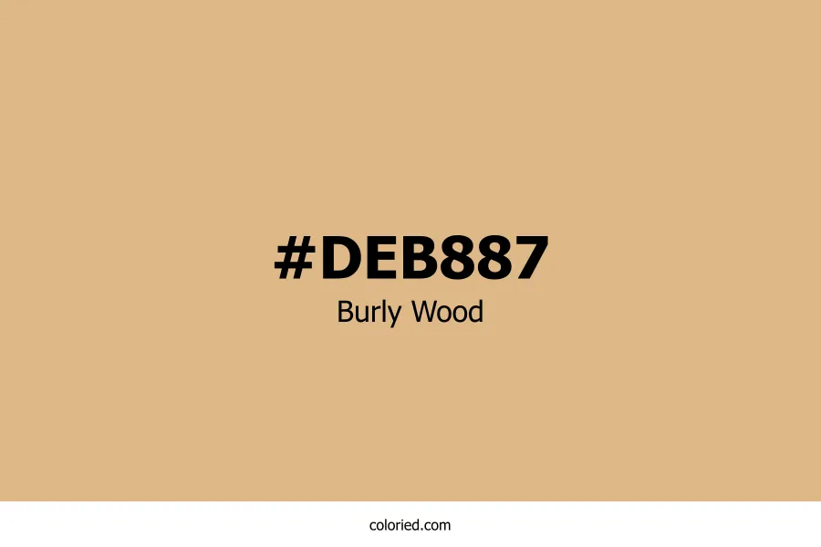 Burly Wood Color