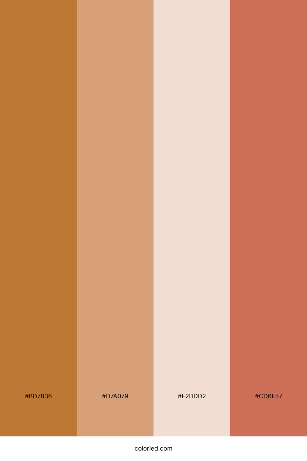 Burnished Copper And Bronze Color Palette