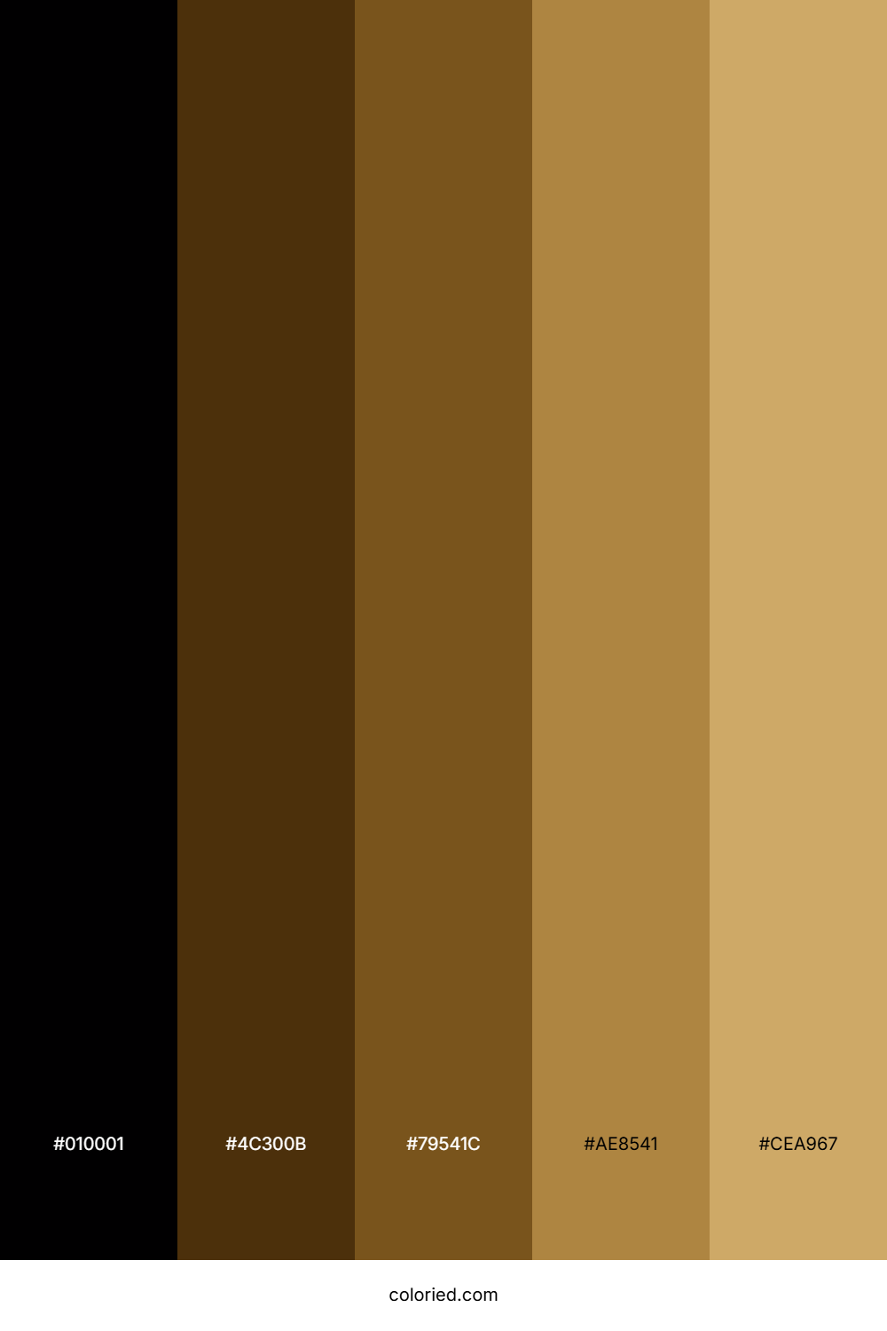 Burnt Amber Twilight Color Palette