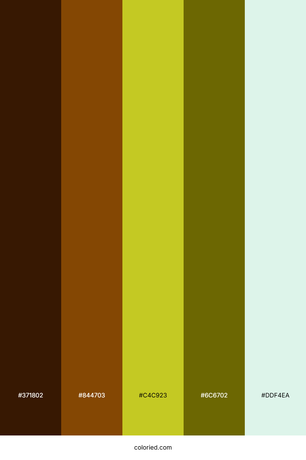 Burnt Cedar Meadow Color Palette
