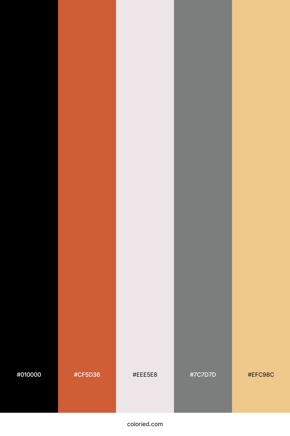 Burnt Coral Mist Color Palette