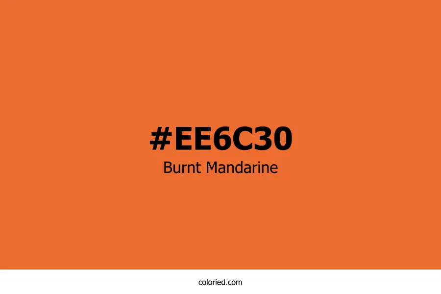 Burnt Mandarine Color