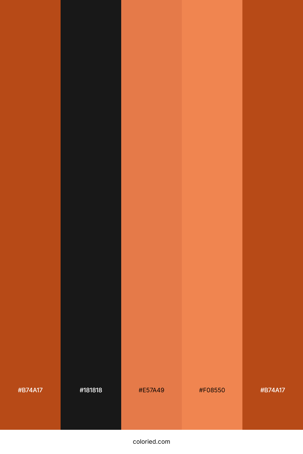 Burnt Orange And Charcoal Black Color Palette