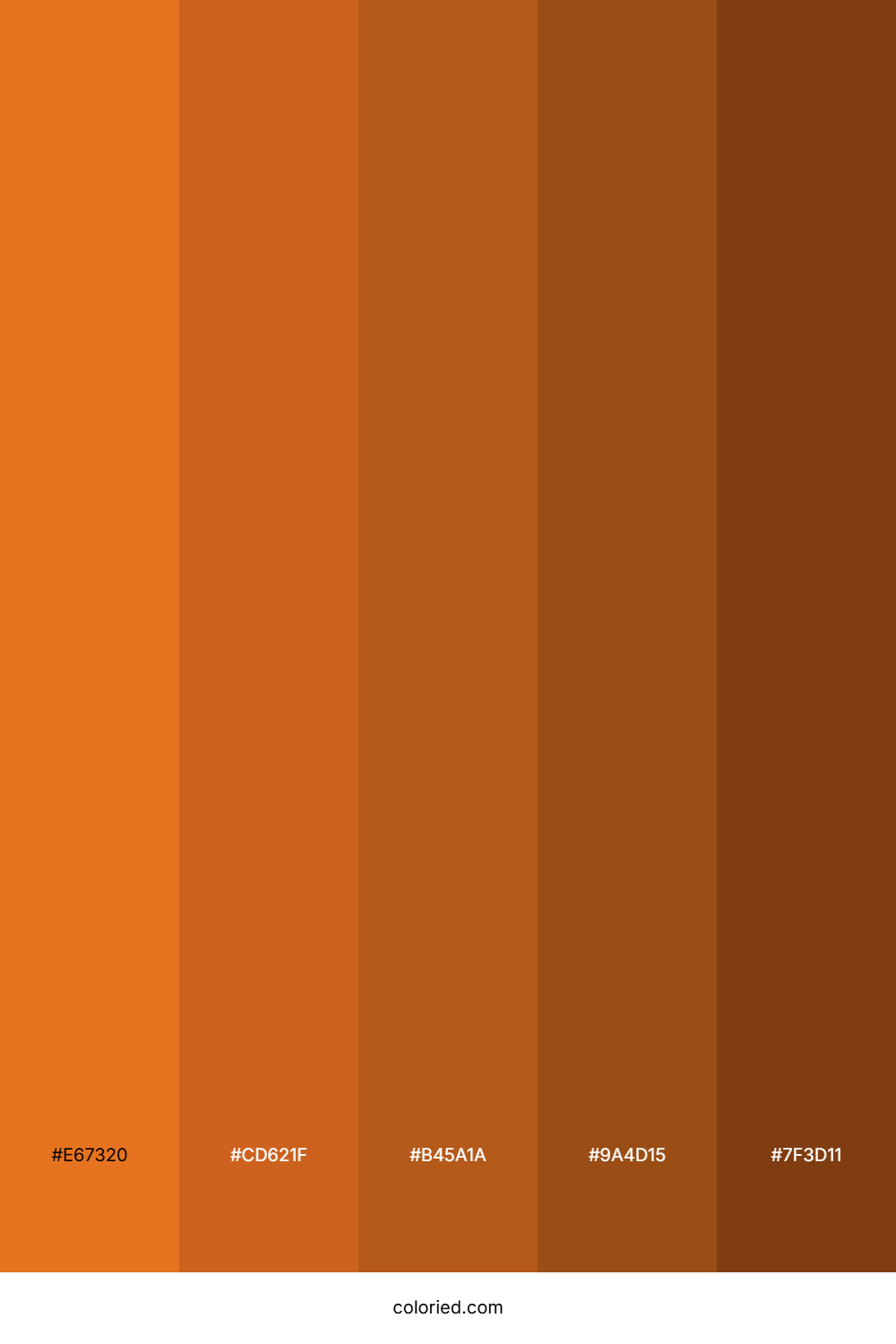 Burnt Orange and Dark Brown Color Palette