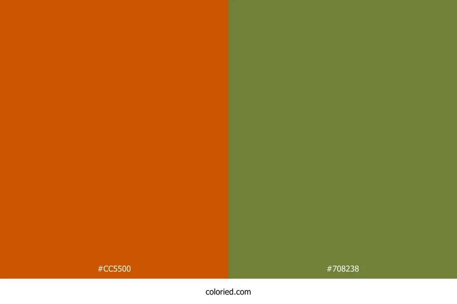 Burnt Orange and Olive Green Dress Combination