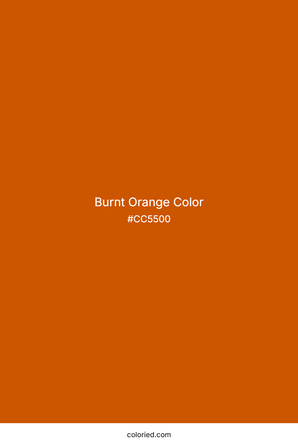 Burnt Orange Color