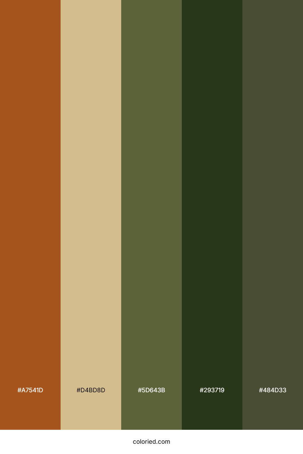 Burnt Sienna Color Palette