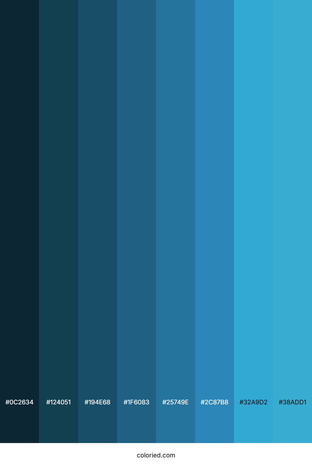 Butterfly Blue Color Shades