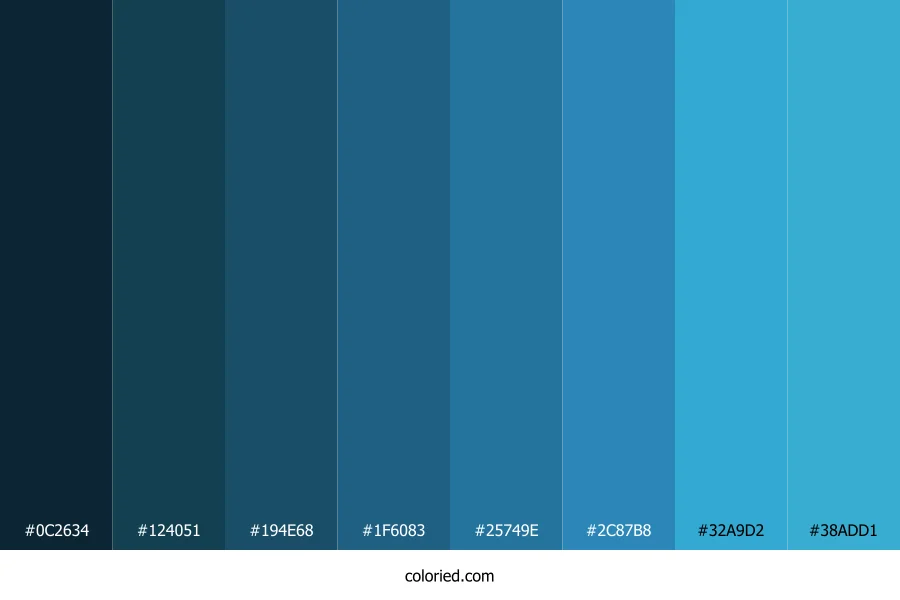 Butterfly Blue Color Shades