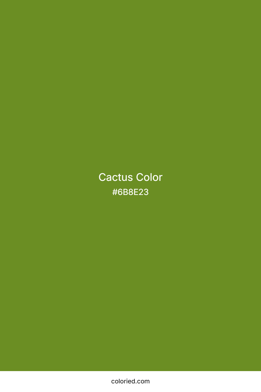 Cactus Color