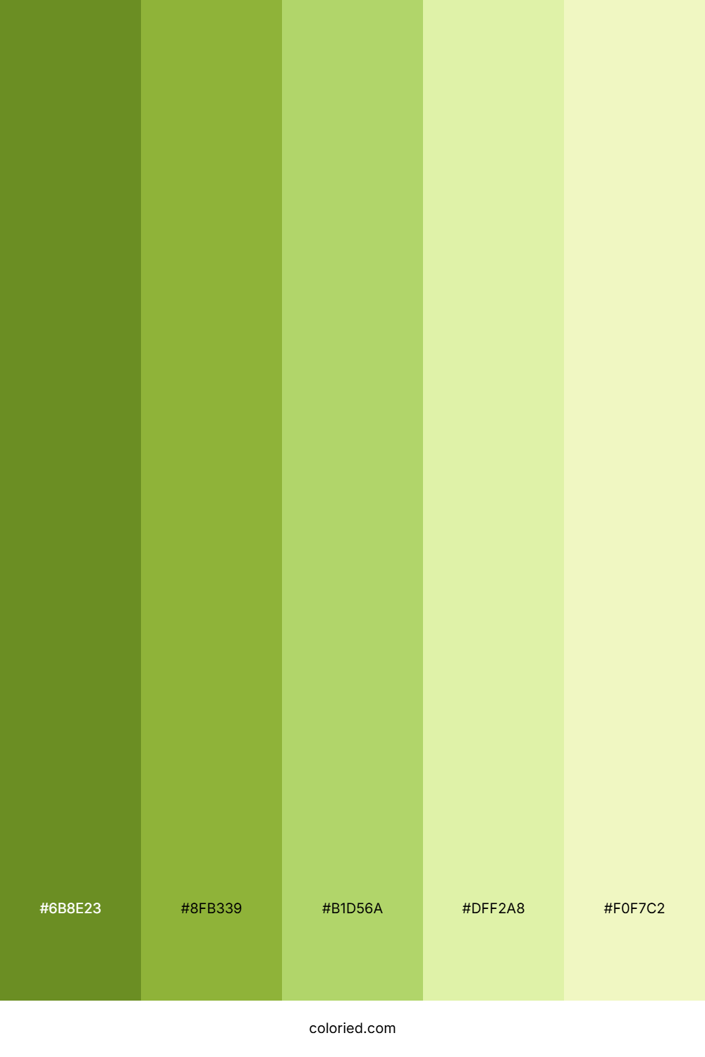 Cactus Plant Color Palette