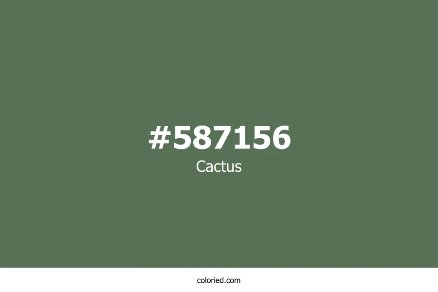Cactus Color