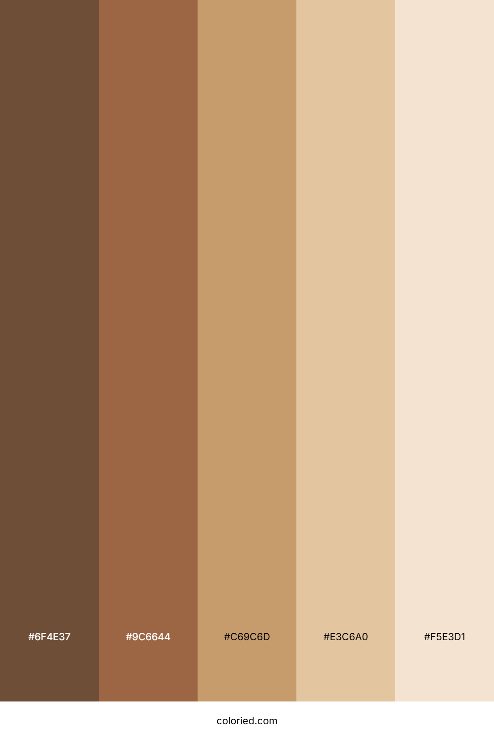 Cafe Color Palette
