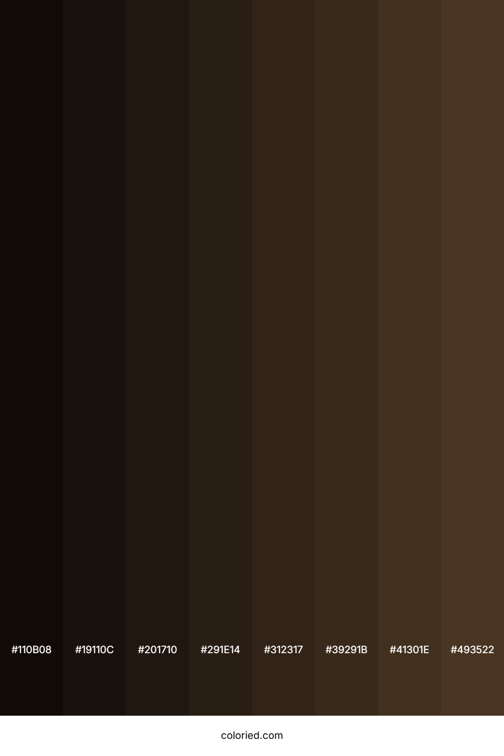Cafe Noir Color Shades