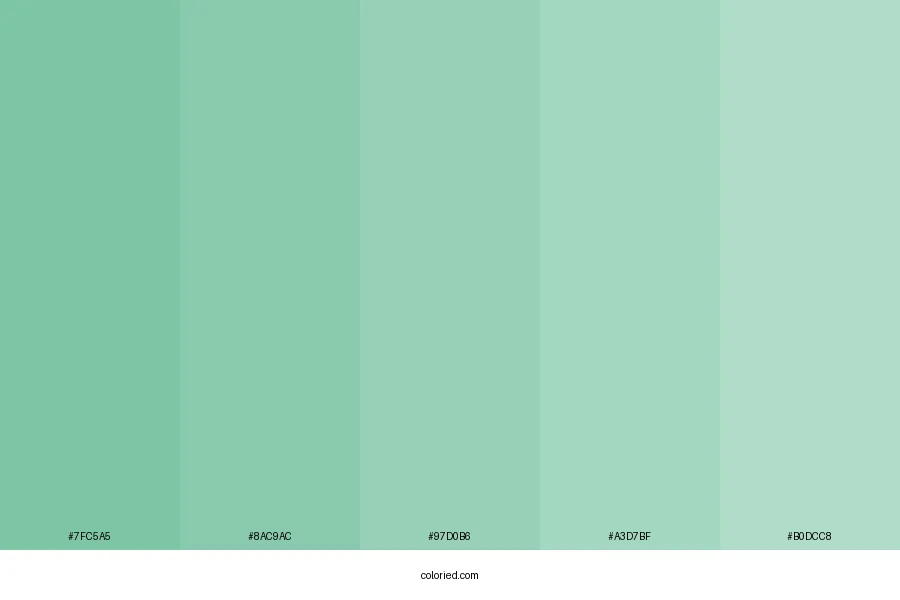 Calm Green Color Palette