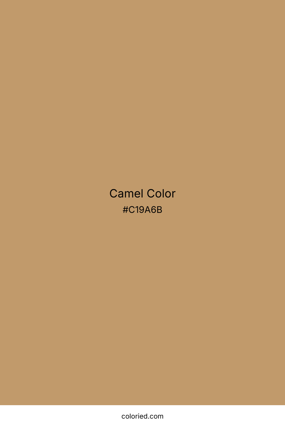 Camel Color