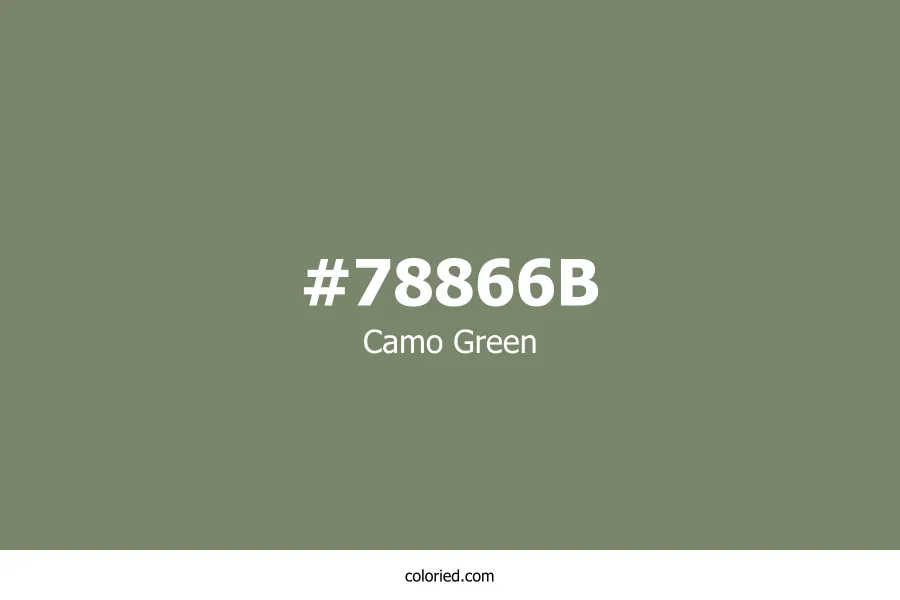 Camo Green Color