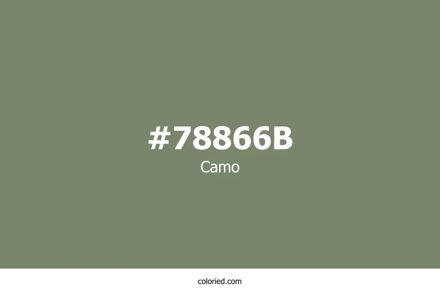 Camo Color