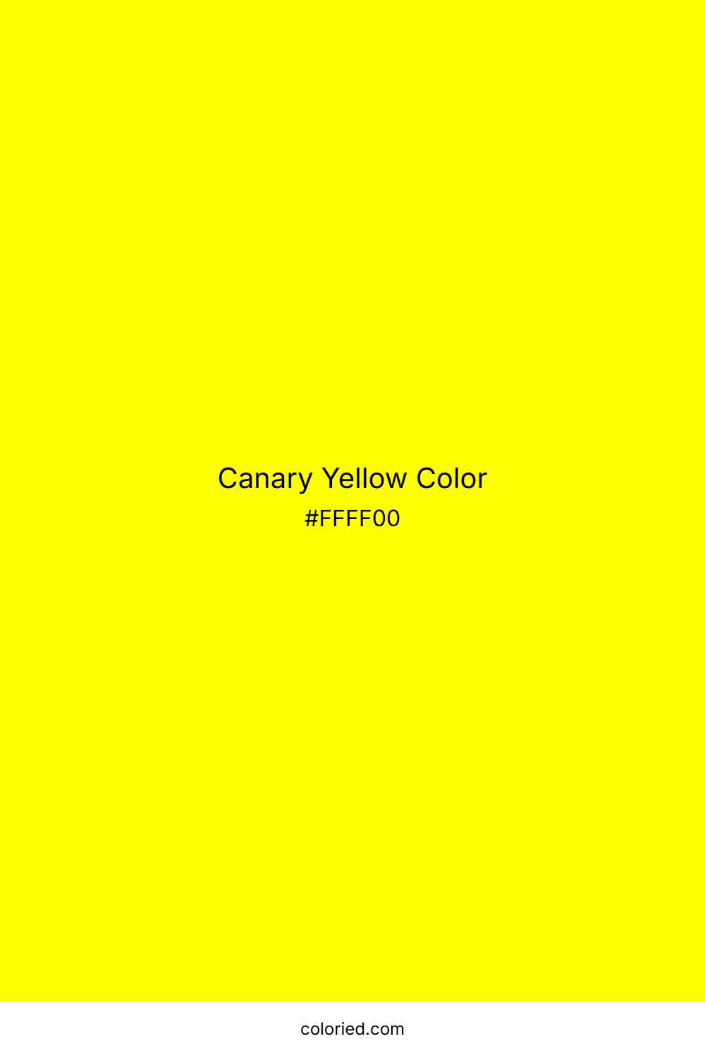 Canary Yellow Color