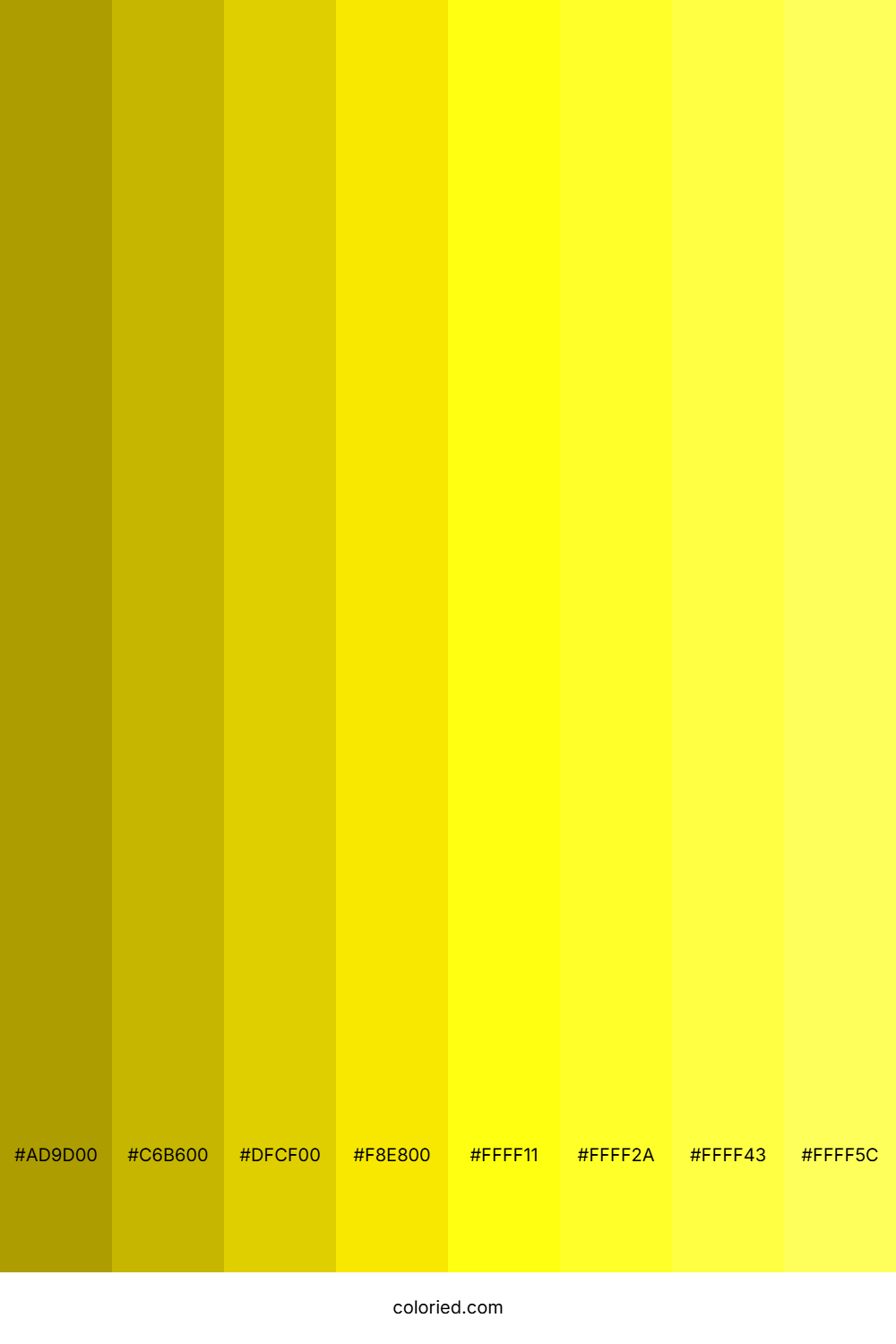 Canary Yellow Shades