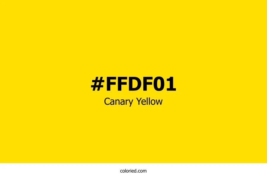 Canary Yellow Color Hex Code