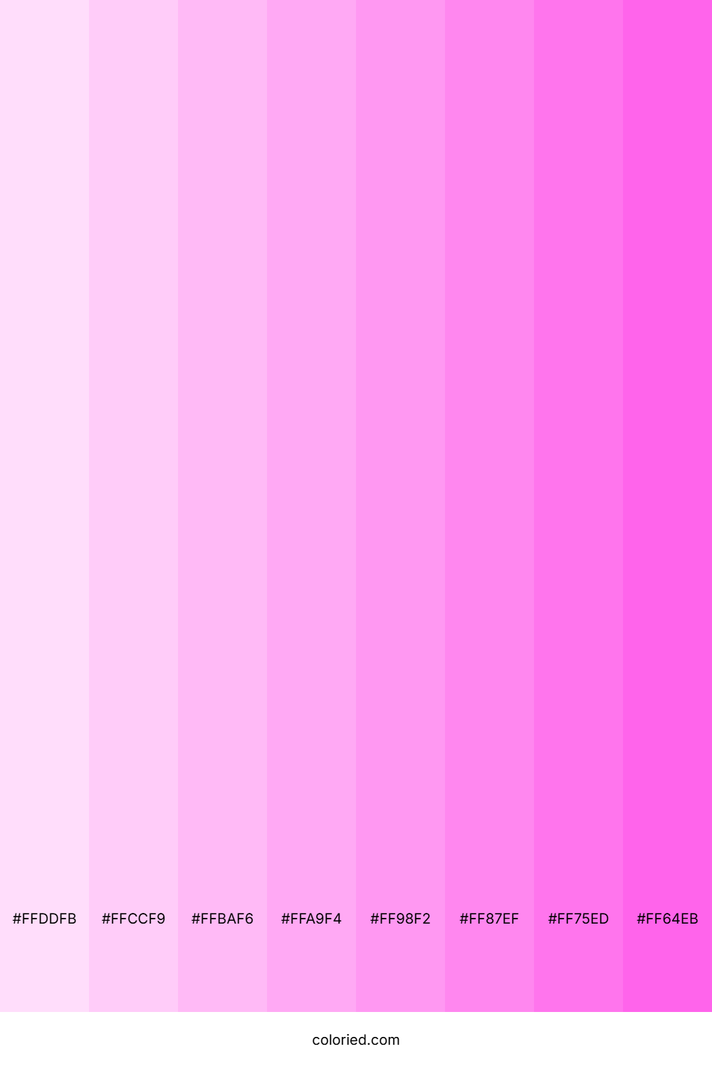 Candy Pink Tints Color Shades