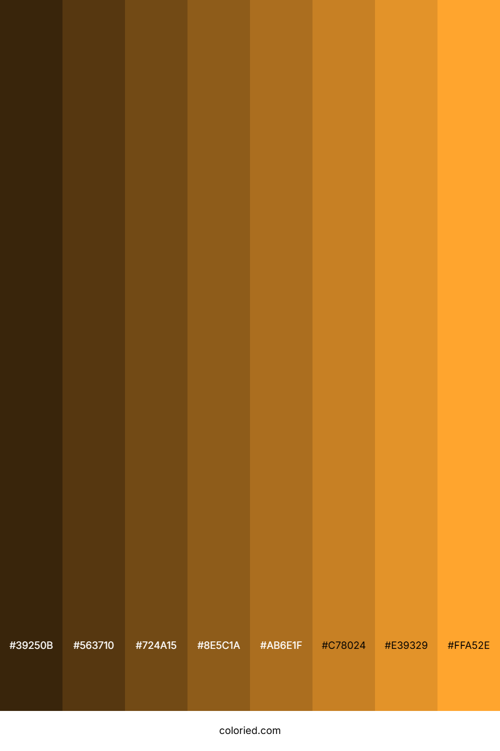 Cantaloupe Color Shades