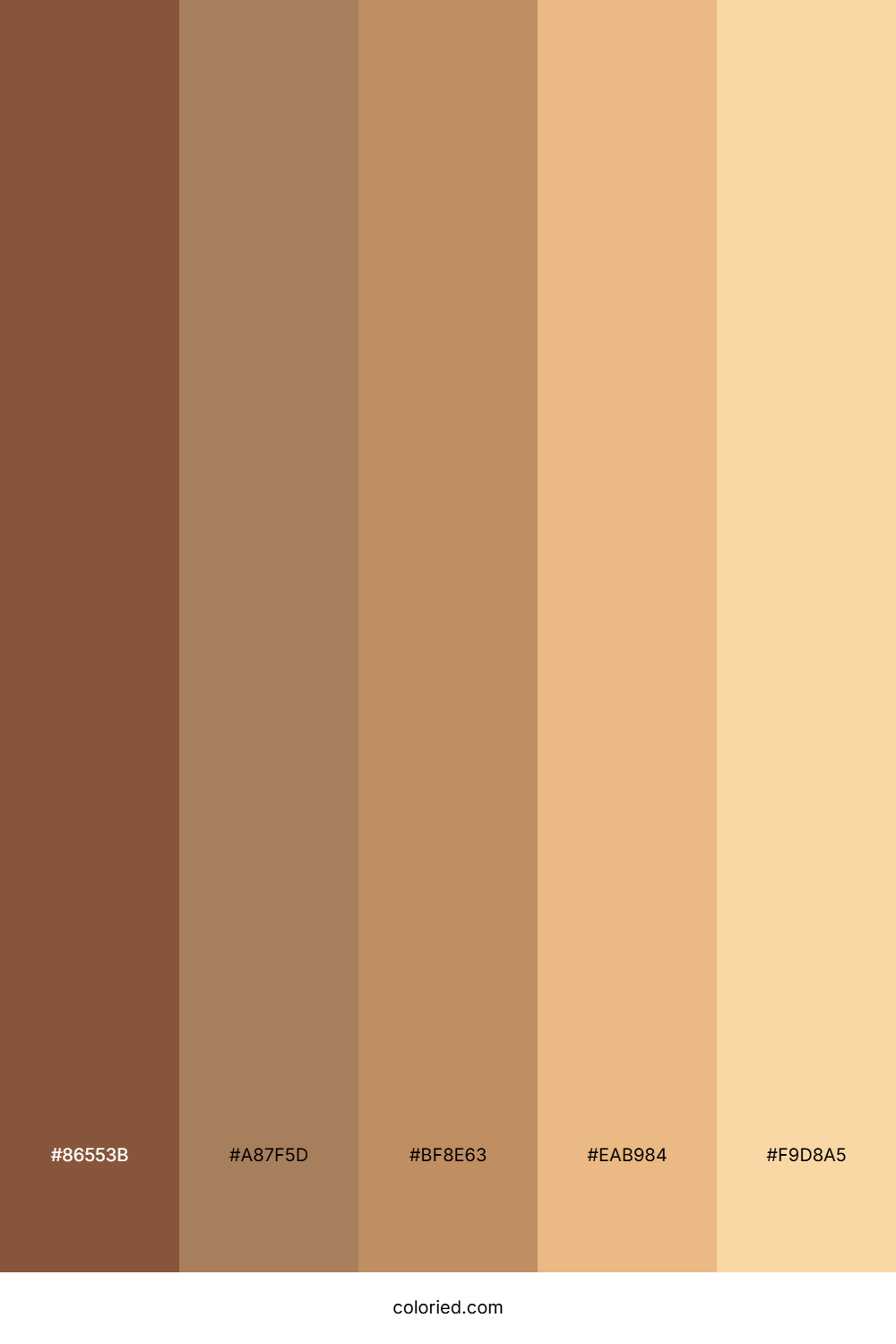 Caramel Latte Color Palette