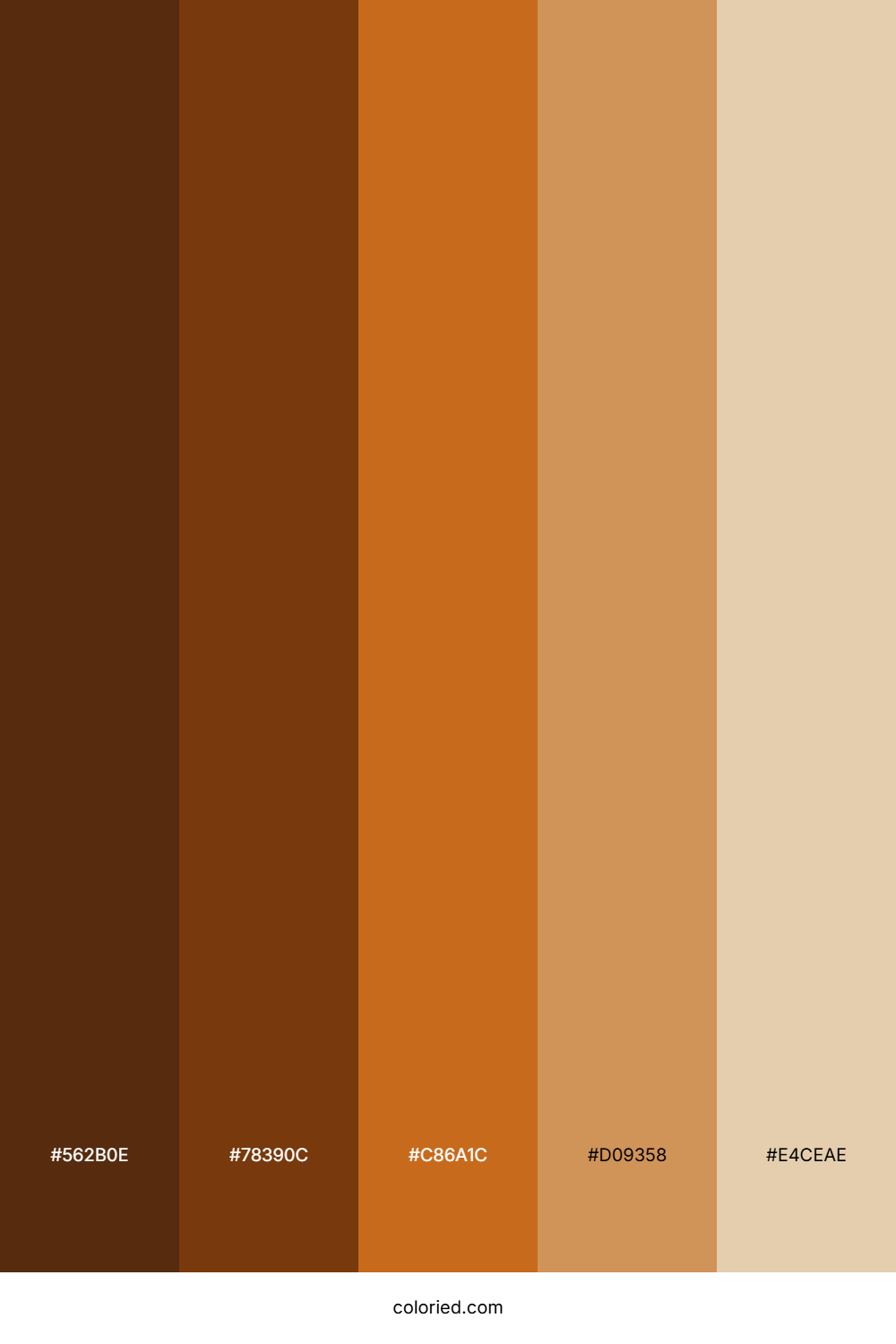 Caramel Spice Drift Color Palette