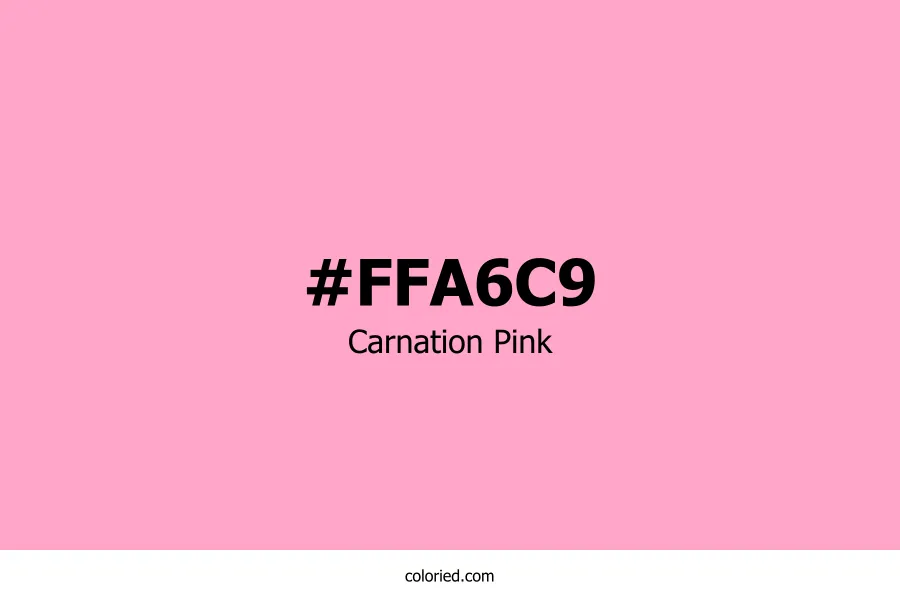Carnation Pink Color Hex Code