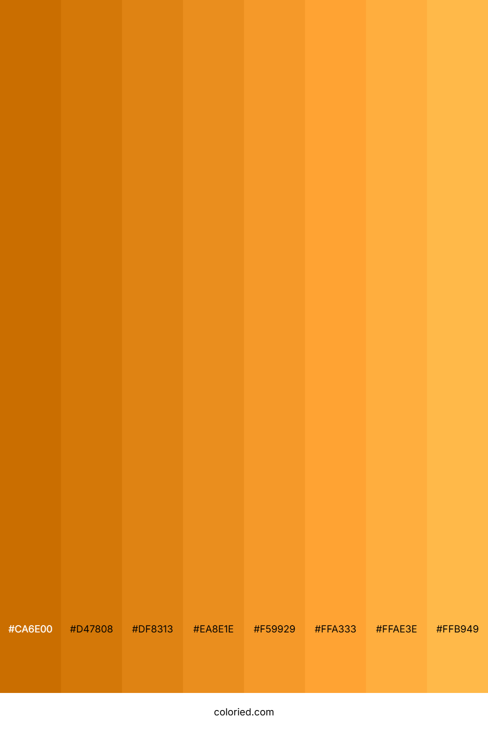 Carrot Orange Shades