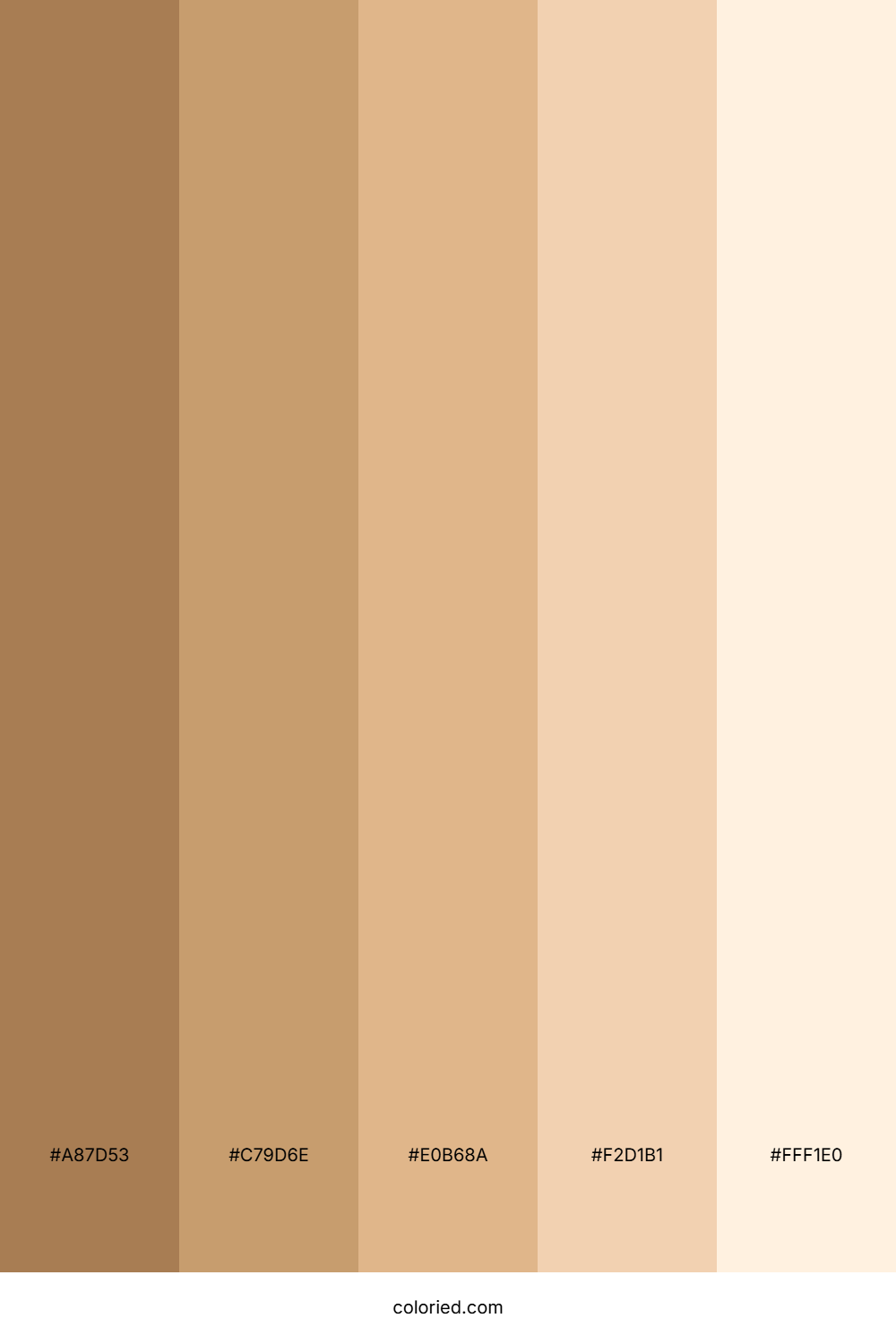 Caucasian Skin tone Color Palette