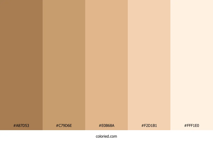 Caucasian Skin tone Color Palette