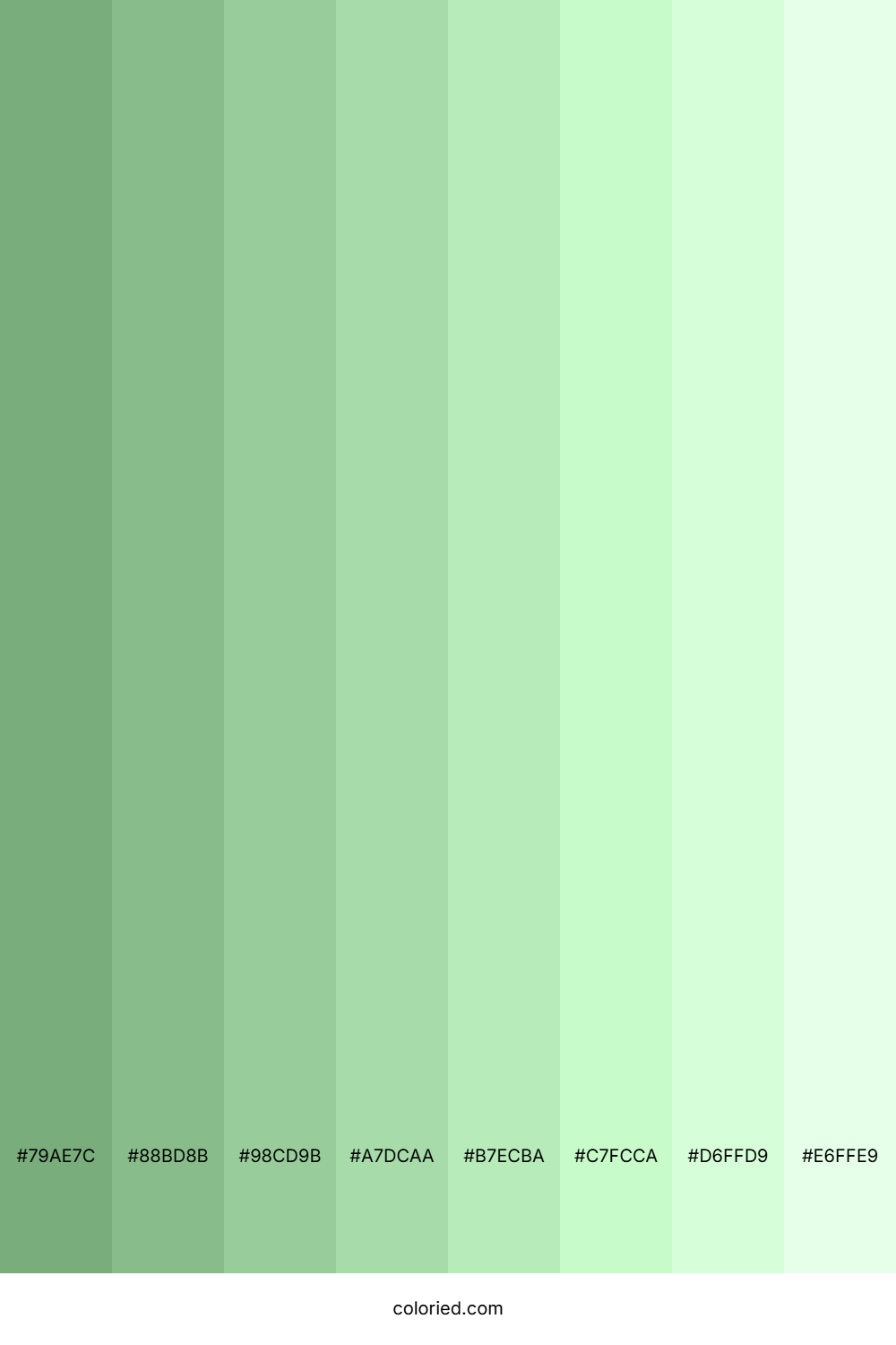 Celadon Shades