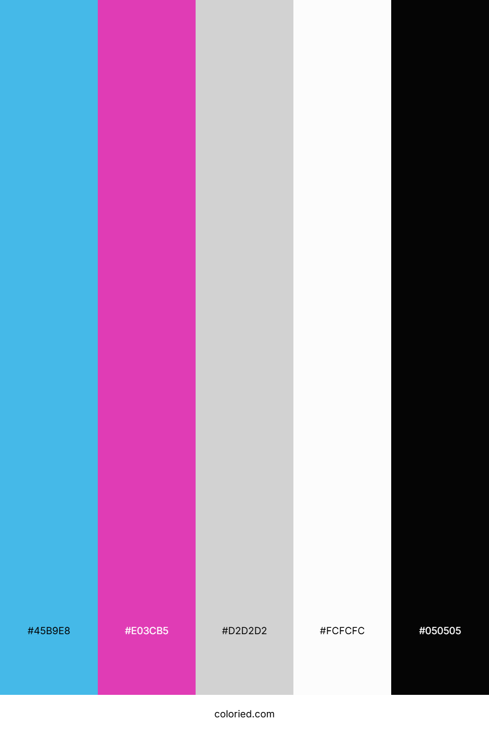 Cerulean Blue and Fuchsia Color Palette