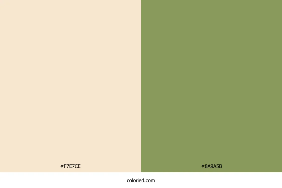 Champagne Beige and Moss Green Dress Combination