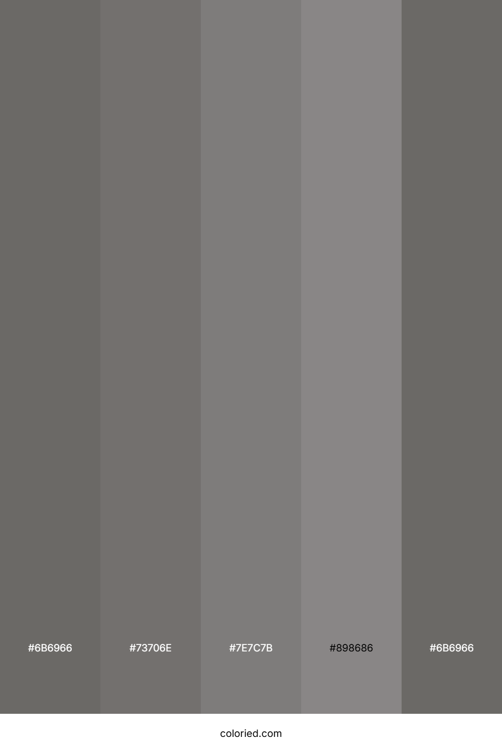 Charcoal And Ash Color Palette