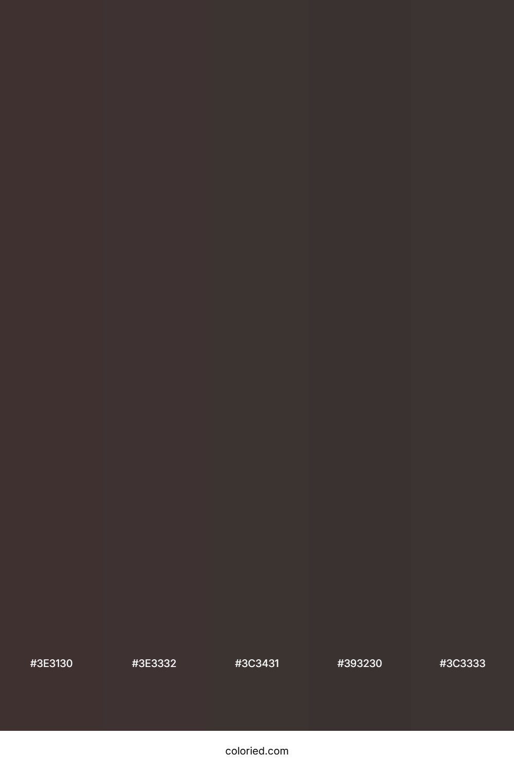 Charcoal and Cocoa Color Palette