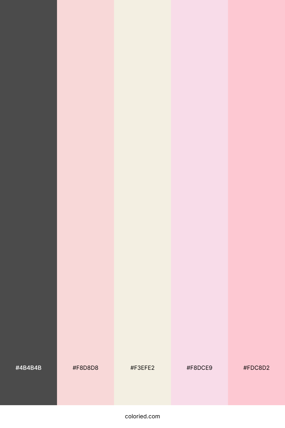 Charcoal And Cotton Candy Color Palette