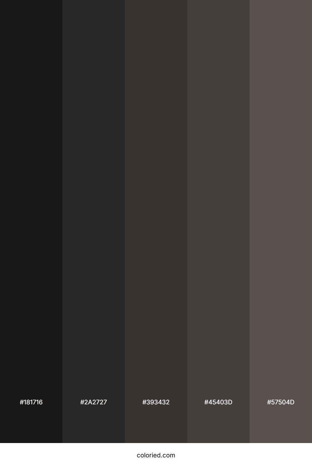 Charcoal and Dark Gray Color Palette