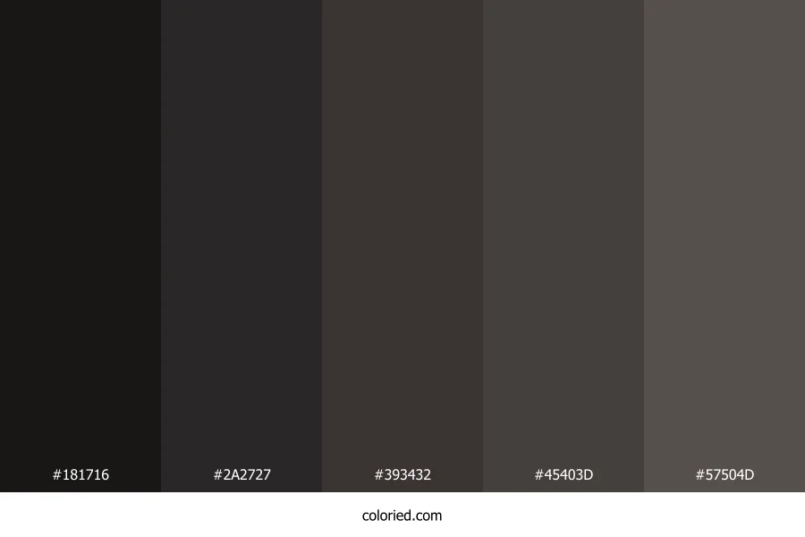Charcoal and Dark Gray Color Palette