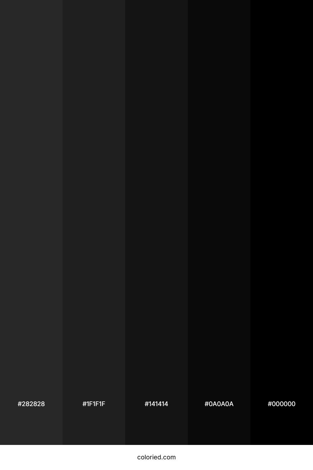 Charcoal and Jet Black Color Palette