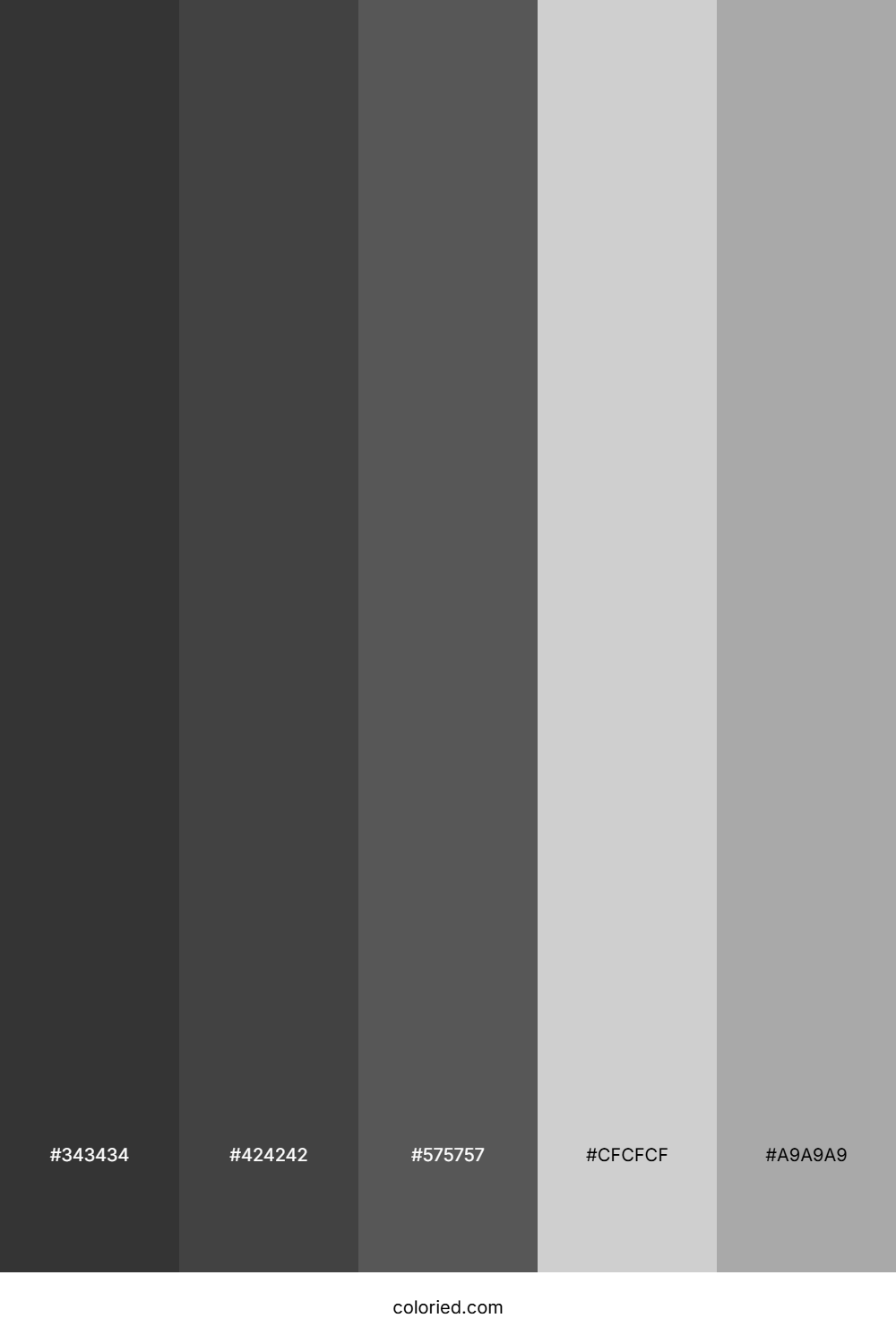 Charcoal And Light Gray Color Palette