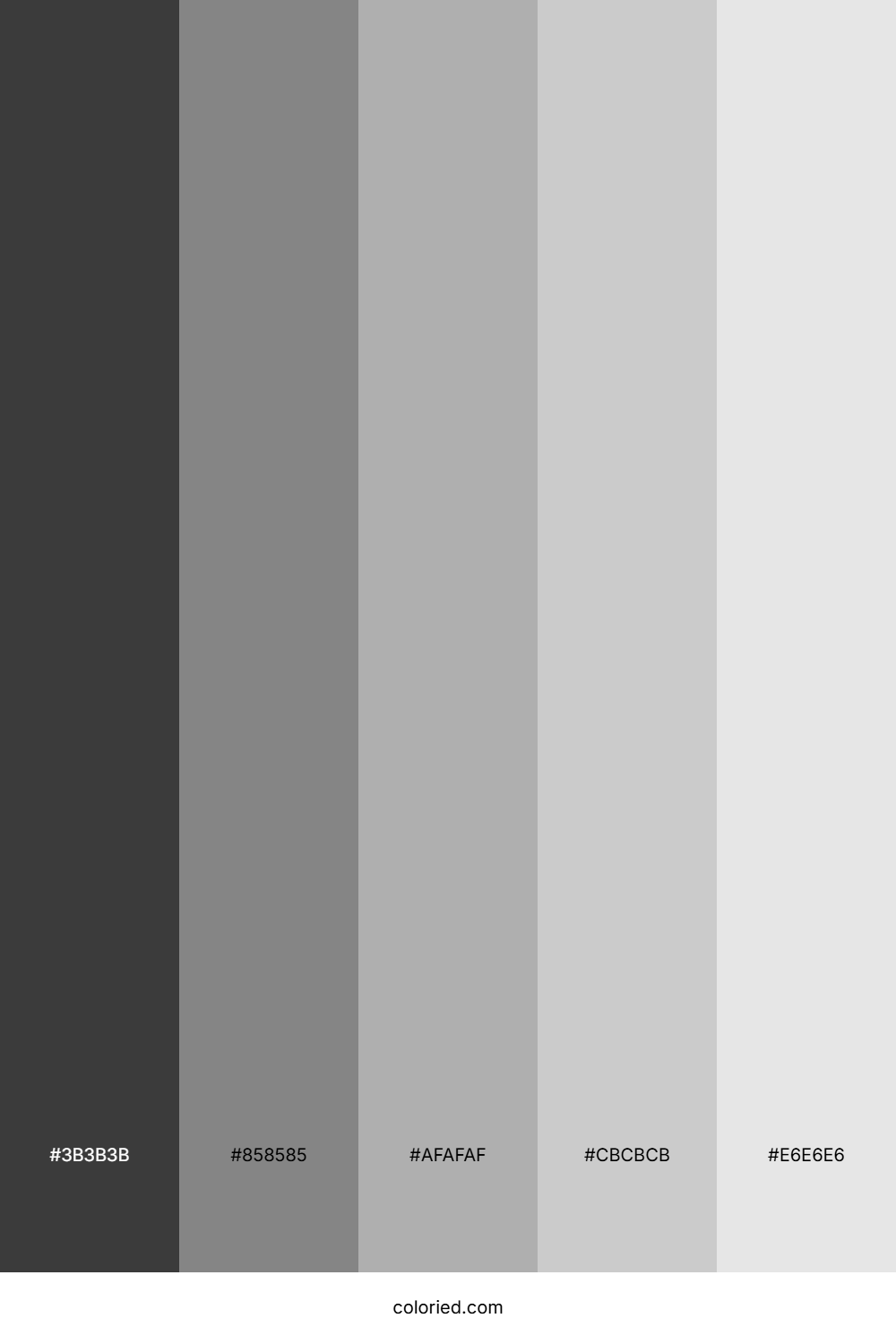 Charcoal and Silver Color Palette