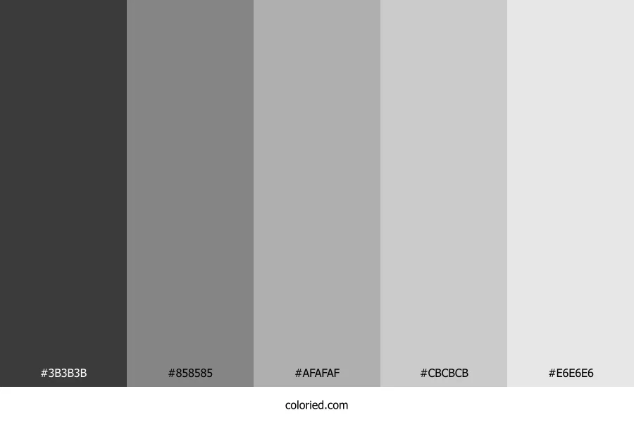 Charcoal and Silver Color Palette