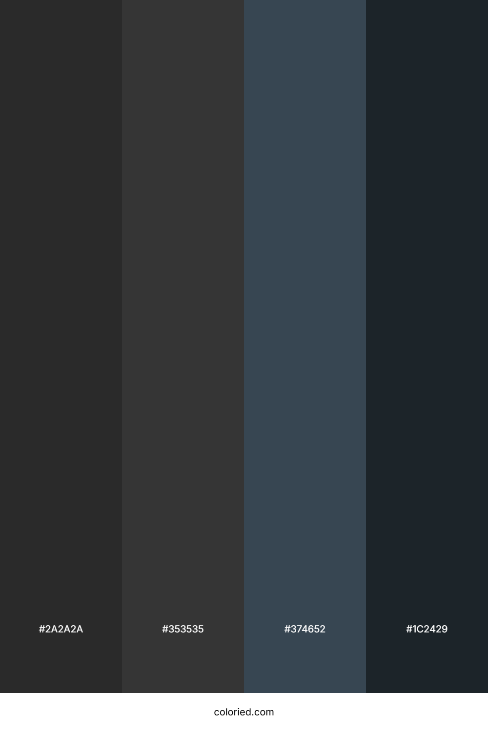 Charcoal And Slate Black Color Palette