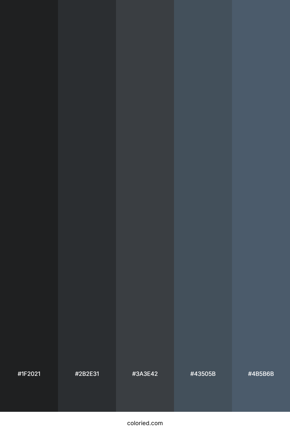 Charcoal and Slate Color Palette