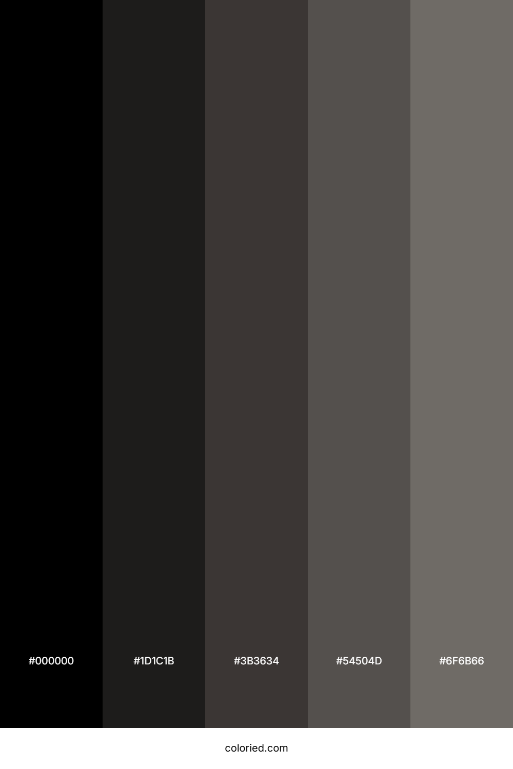 Charcoal And Slate Grey Color Palette